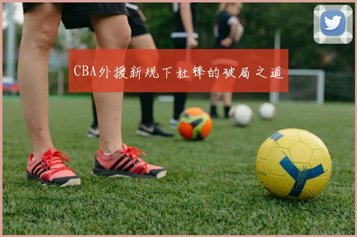 CBA外援新规下杜锋的破局之道
