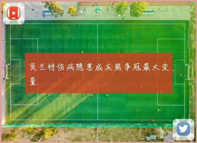 莫兰特伤病隐患成灰熊争冠最大变量