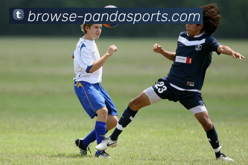 App Interface Preview